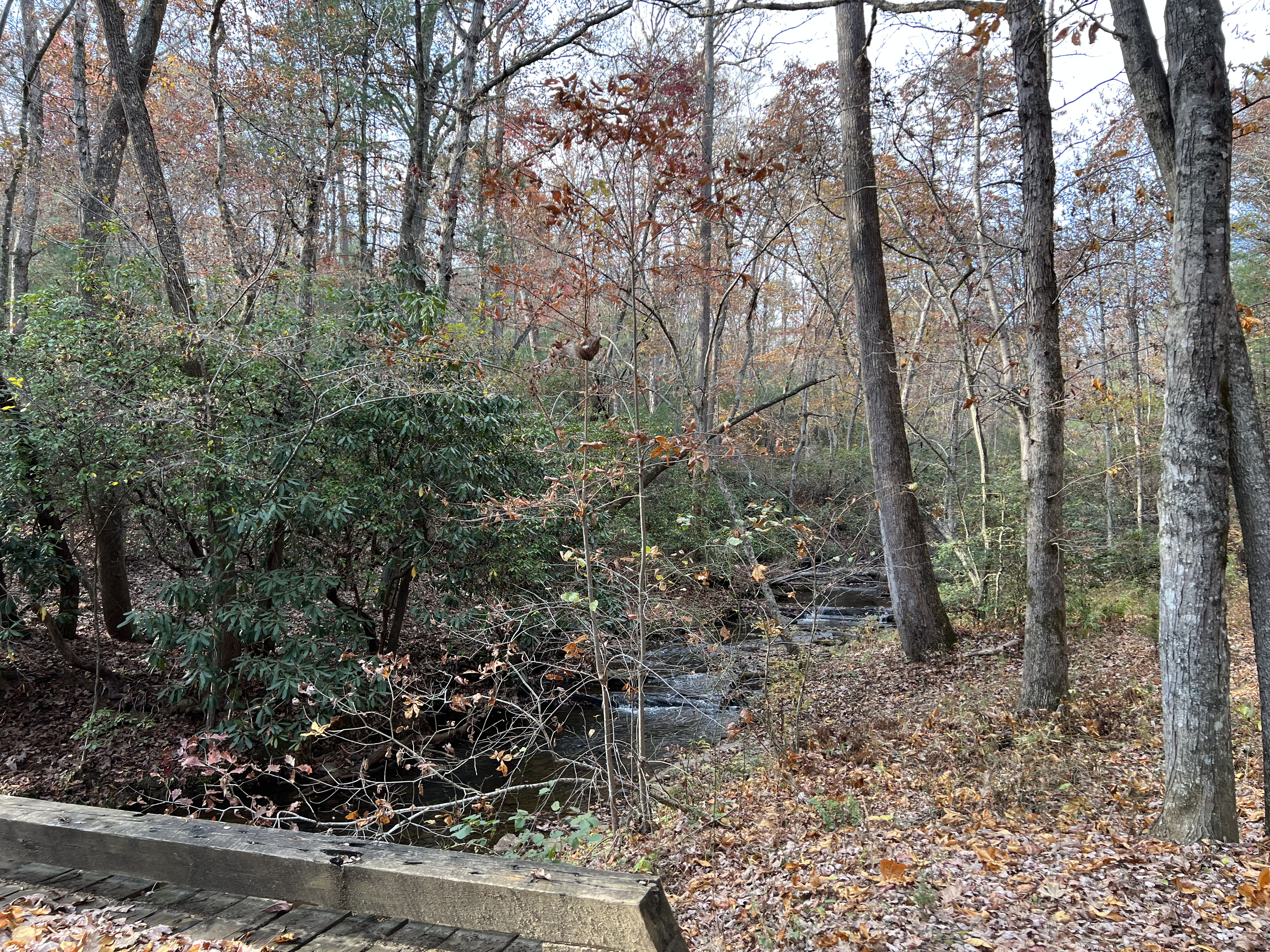 ./2023/13 - Elkin/IMG_0490.jpg